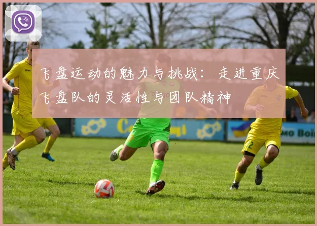 飞盘运动的魅力与挑战：走进重庆飞盘队的灵活性与团队精神