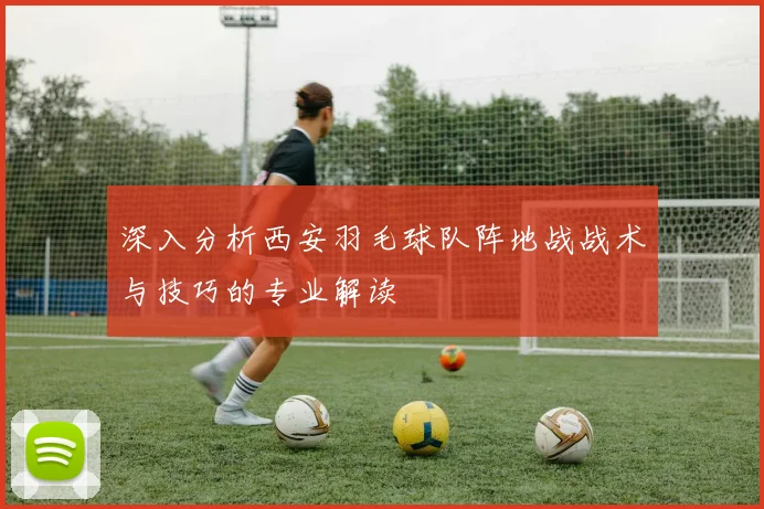 深入分析西安羽毛球队阵地战战术与技巧的专业解读